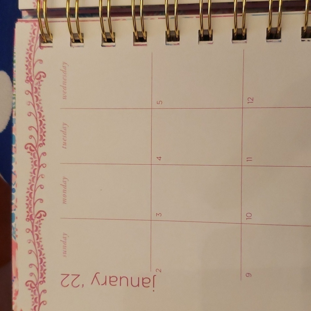 Lilly Pelzer planner - Picture 8 of 12